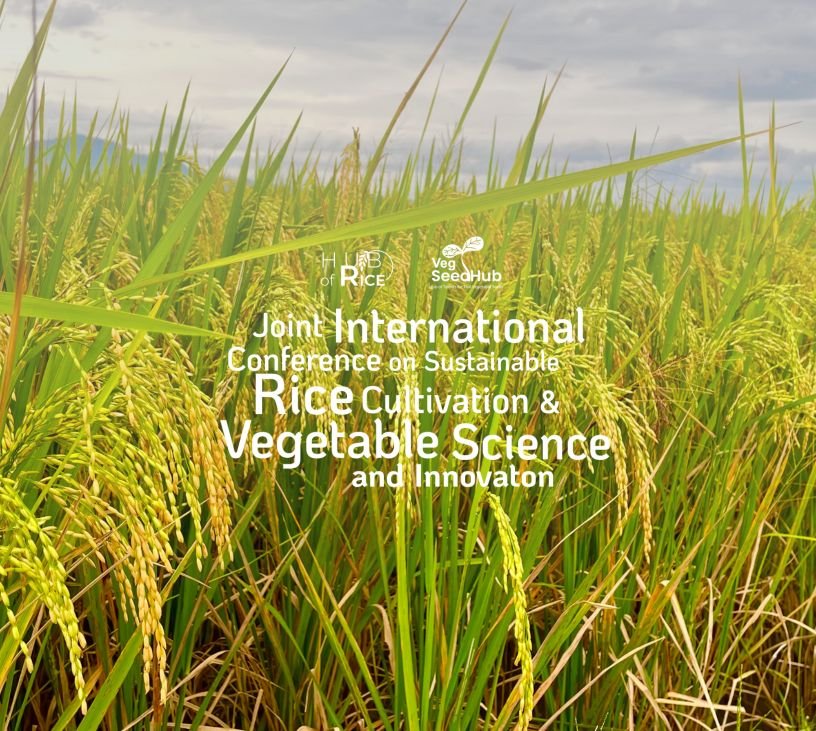Sustainable Rice & Veg