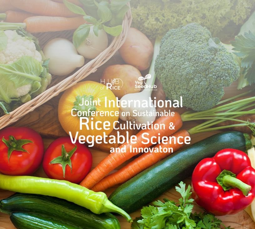 Sustainable Rice & Veg