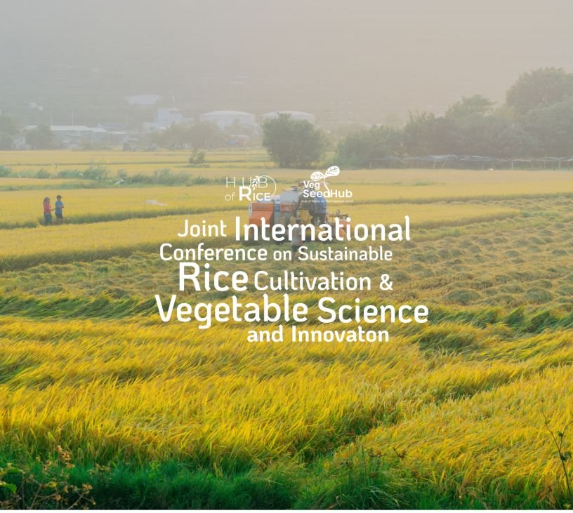 Sustainable Rice & Veg